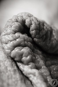 Stephan Strange Photography