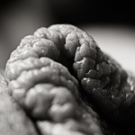 veryclose