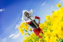 The Red Nun - Gasmasked into a canola field