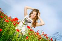 A Day at the Poppyfield