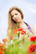 A Day at the Poppyfield