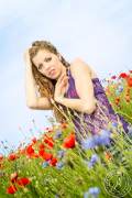 A Day at the Poppyfield