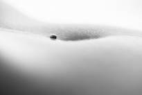 Artistic Nude (11).JPG