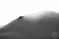 Black-and-White-Silhouette-11