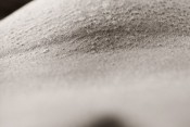 body-parts-black-n-white-10