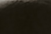 body-parts-black-n-white-13