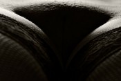 body-parts-black-n-white-15