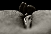 body-parts-black-n-white-3
