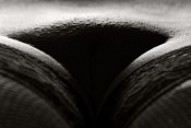 body-parts-black-n-white-9