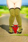 Colorfull_Stockings