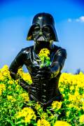 Darth Vader masked girl