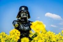 Darth Vader masked gir