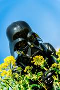 Darth Vader masked girl