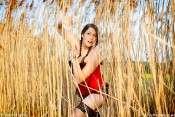 summer_in_red_-6