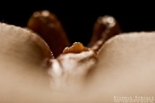 extra-close-2