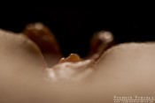 extra-close-4