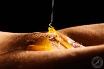 A honey finder. Sweet and tasty