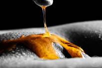 A honey finder. Sweet and tasty