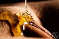 A honey finder. Sweet and tasty