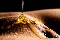 A honey finder. Sweet and tasty