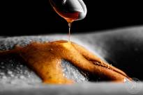 A honey finder. Sweet and tasty