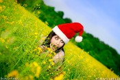 santa_field_01