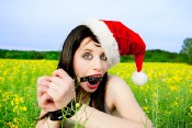 santa_field_09