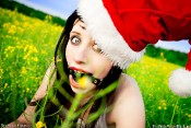 santa_field_10