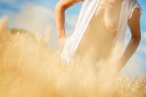 June Summer Sunlight