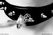 kuffs-n-collar-11