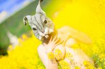 Rapsfeld Rabbit
