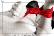 red-rope-17