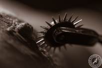 Spiked Wheel (3).jpg