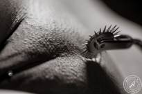 Spiked Wheel (6).jpg