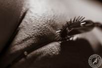 Spiked Wheel (7).jpg