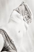The grey shirt (7)