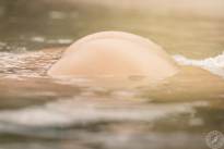 Vintage Bodyparts at the River Rhine