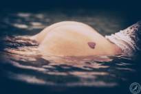 Vintage Bodyparts at the River Rhine