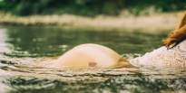 Vintage Bodyparts at the River Rhine