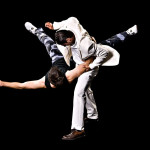 Martial Arts Photos Incognito Stunts