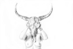 Bulls Head